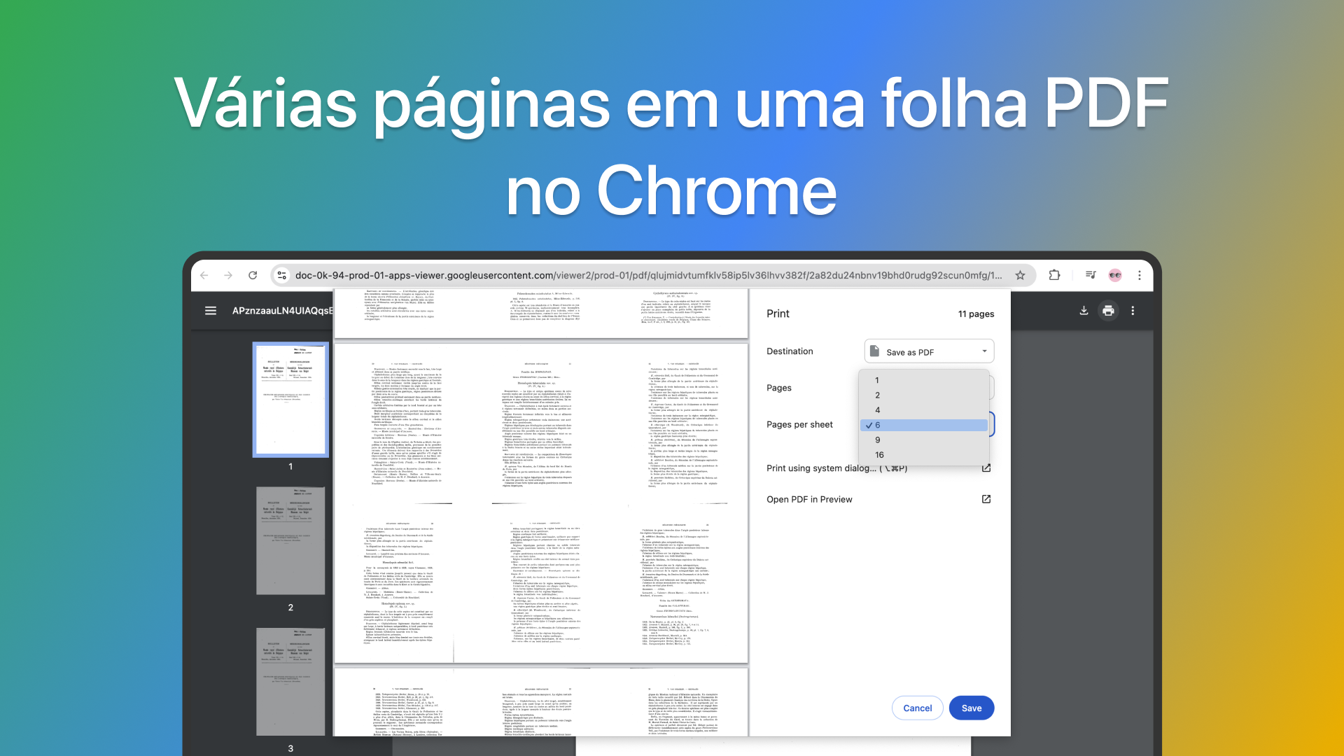 Várias páginas em uma folha PDF no Chrome